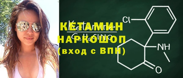 прущие грибы Горно-Алтайск