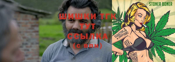 спиды Волосово