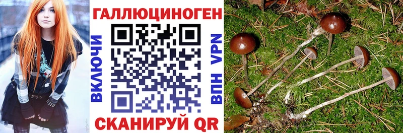 Галлюциногенные грибы мицелий  Дзержинский 