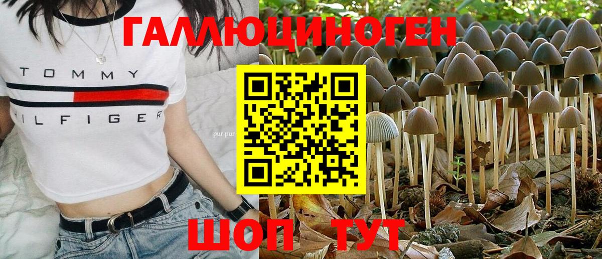 Псилоцибиновые грибы Cubensis Дзержинский