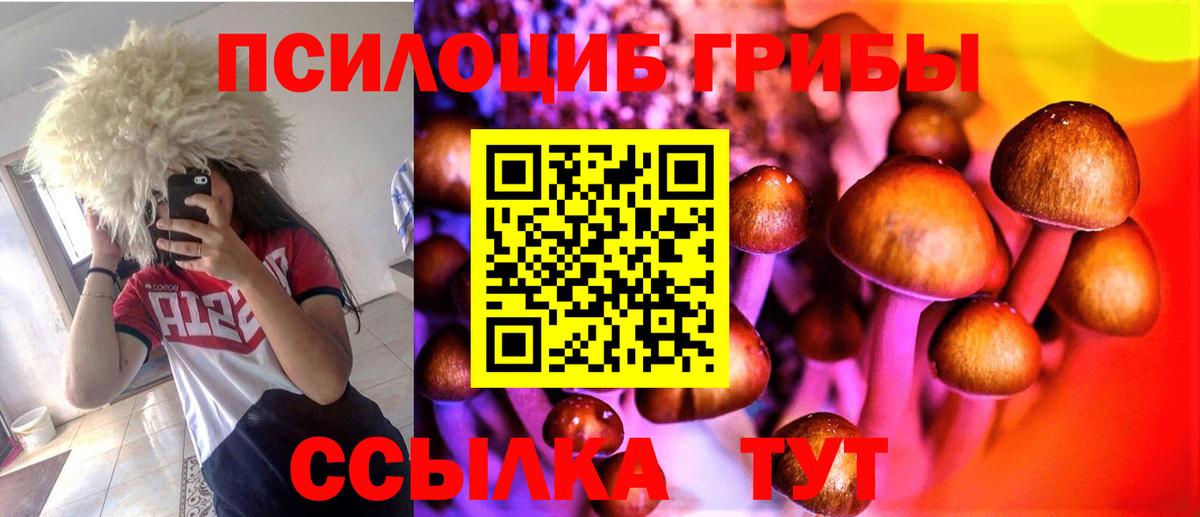 Галлюциногенные грибы прущие грибы  Галлюциногенные грибы прущие грибы  Вход с VPN  Дзержинский 